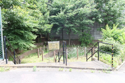 中央第６緑地の画像1