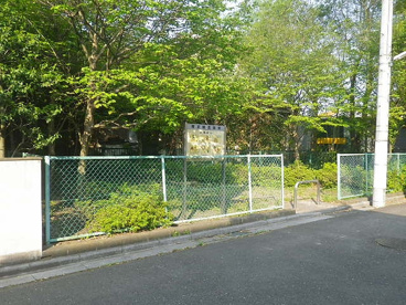 南沢第５緑地の画像2