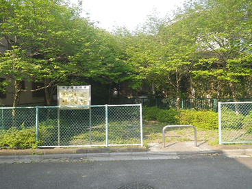 南沢第５緑地の画像3