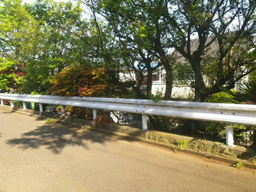 向山緑地公園の画像3