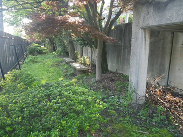 向山緑地公園の画像4