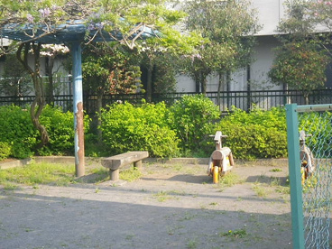 南沢第４緑地の画像1