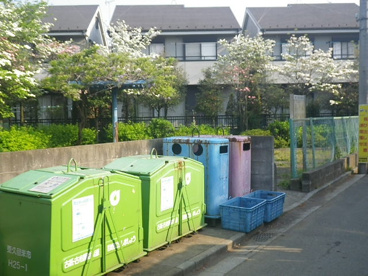 南沢第４緑地の画像2