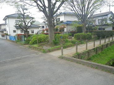 小山第２緑地の画像2