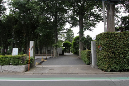 米津寺の画像1