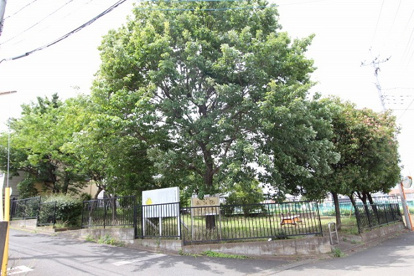 中央第３緑地の画像1