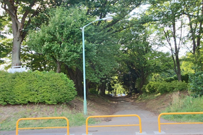 滝山公園の画像1