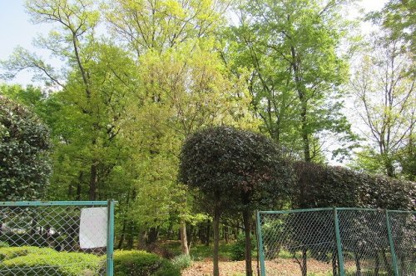 緑地公園の画像1