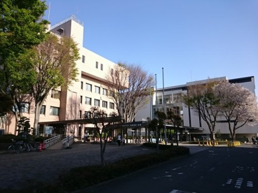 東村山市役所の画像1