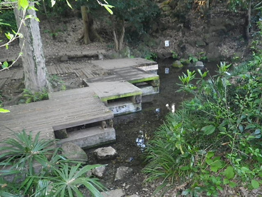 竹林公園の画像1