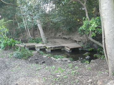 竹林公園の画像2