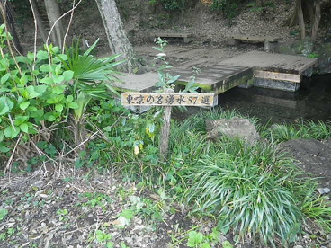 竹林公園の画像3