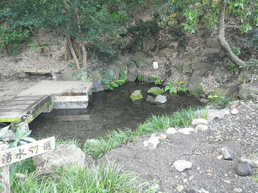 竹林公園の画像4