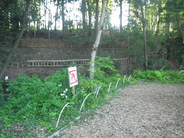 竹林公園の画像5