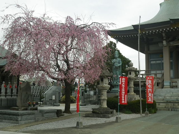 多聞寺の画像5