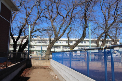 東久留米市立 小山小学校の画像2
