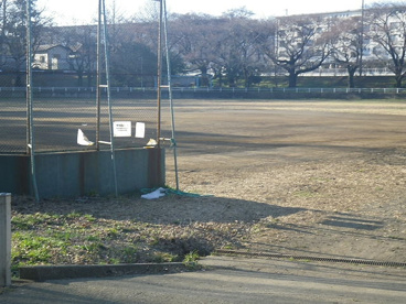 白山公園の画像3