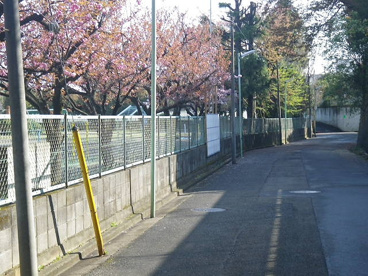 東久留米市立 第十小学校の画像4
