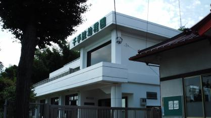 千手院幼稚園の画像1