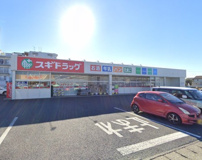 ドラッグスギ中居店