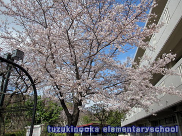 横浜市立つづきの丘小学校の画像1