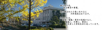 神奈川県立川和高等学校の画像1