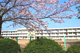 八街市立実住小学校の画像