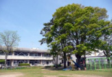 東金市立福岡小学校