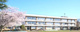 富里市立根木名小学校の画像