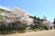 山武市立睦岡小学校の画像