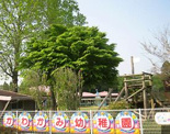 八街市立川上幼稚園