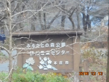 ふるさとの森公園の画像1