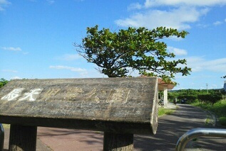 馬天児童公園の画像1