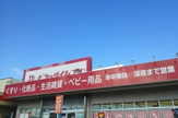 ドラッグイレブン佐敷店