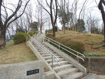高津公園の画像3