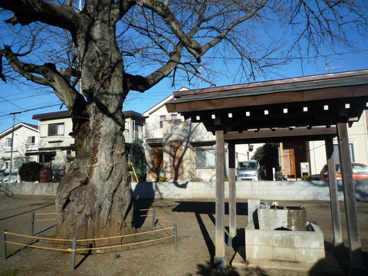 白山神社の画像1