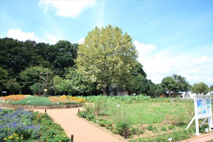 中原ふれあい防災公園の画像1