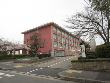 金剛高等学校の画像1