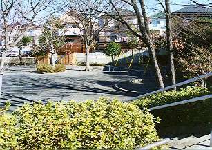 今宿こぶし公園の画像1