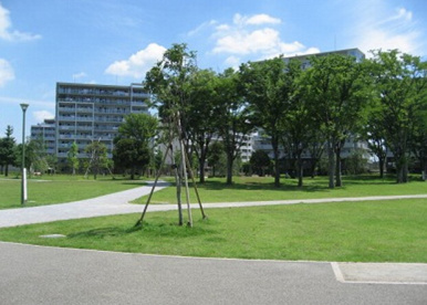 福岡中央公園の画像1