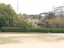  五月が丘第五公園