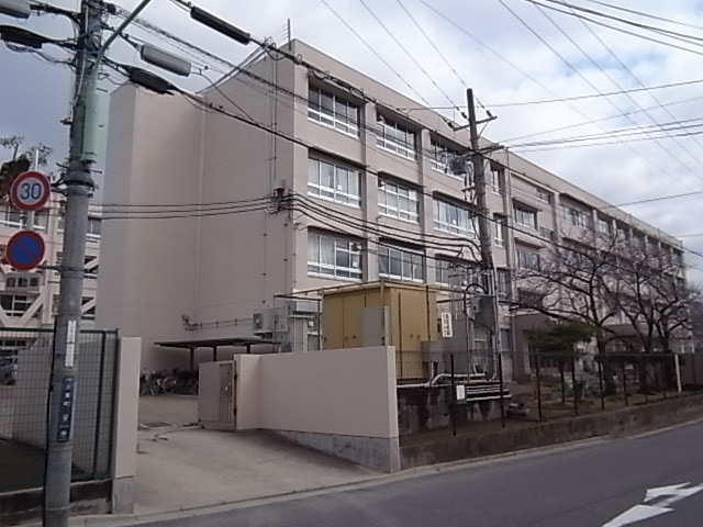 の画像