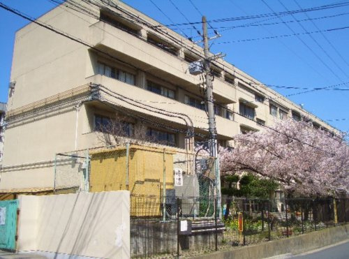 の画像