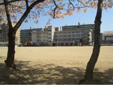 の画像