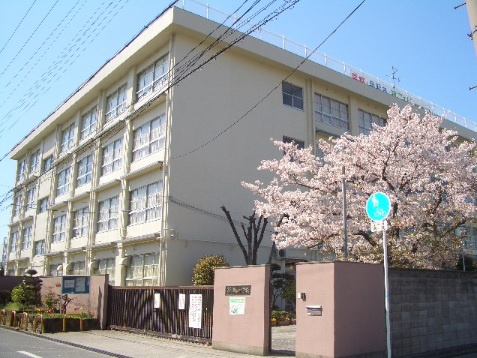 の画像