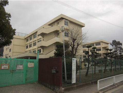 の画像