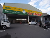 ジャパン大東氷野店