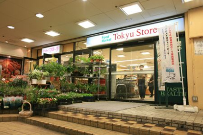 東急ストア　菊名店の画像1