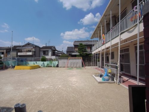の画像