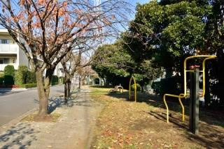 仲手原緑道の画像1